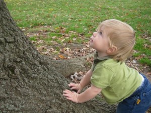 This boy loves trees!