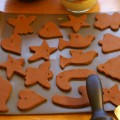 Apple Cinnamon Ornaments