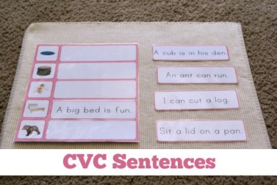 Montessori Pink Series: CVC Sentences