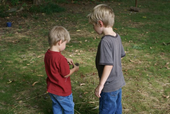 The Backyard Nature Hunt