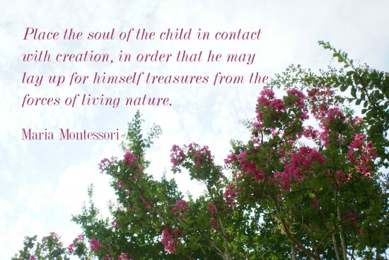 "Place the soul of the child in contact with creation, in order that he may lay up for himself treasures from the forces of living nature."