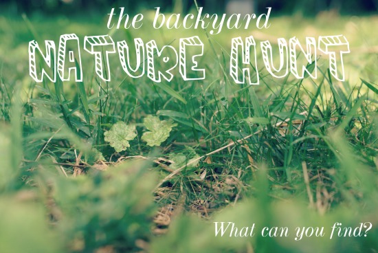 The Backyard Nature Hunt :: What can you find?