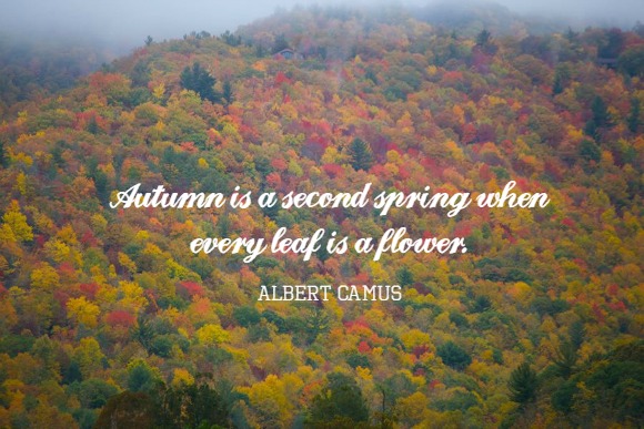 A Nature Walk for Fall - "Autumn is a second spring when every leaf is a flower." - Albert Camus