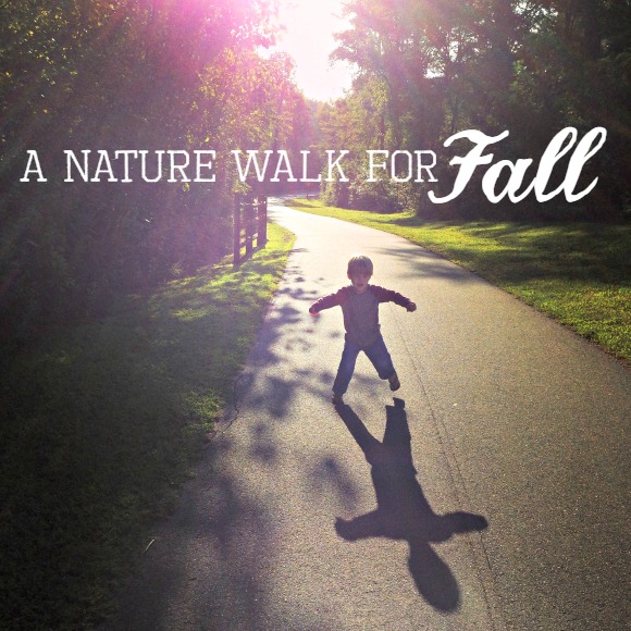 A Nature Walk for Fall