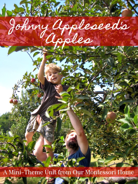  Montessori Apple Themed Activities - Johnny Appleseed's Apples Theme Unit & Lesson Plans