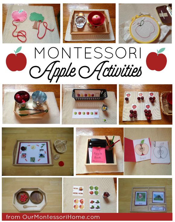  Montessori Apple Themed Activities - Johnny Appleseed Theme Unit & Lesson Plans