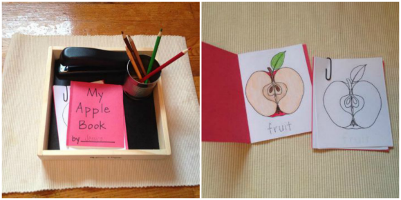 Montessori Apple Themed Activities - Parts of an Apple Book