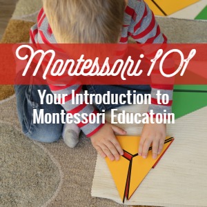 Want to learn more about Montessori? Montessori 101 - Join us for a year-long series looking at Montessori education---from the philosophy of the child to how Montessori influences parenting, the areas of the classroom, and how to incorporate Montessori at home.  