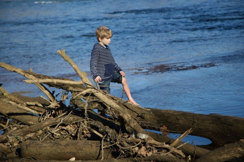 Joey at the River