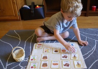 Montessori Fall Activities