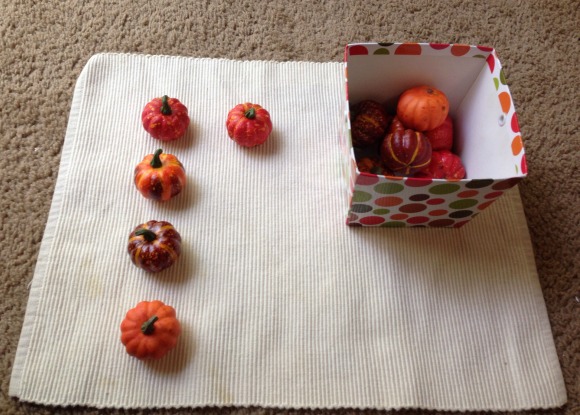 Montessori Fall Activities