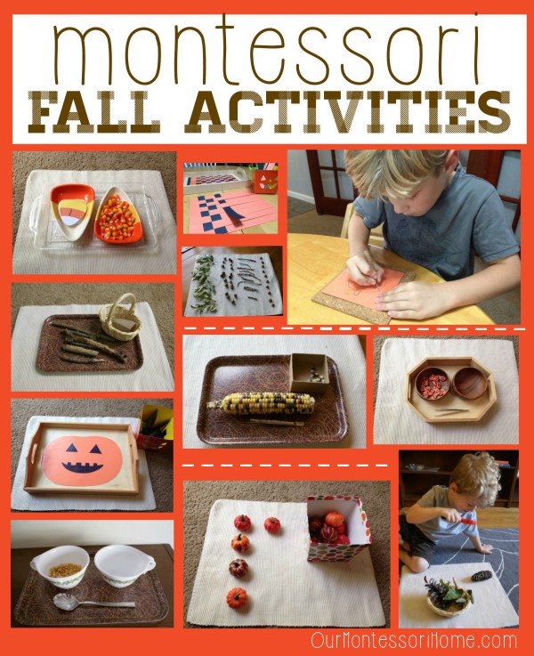 Montessori Fall Activities from Our Montessori Home